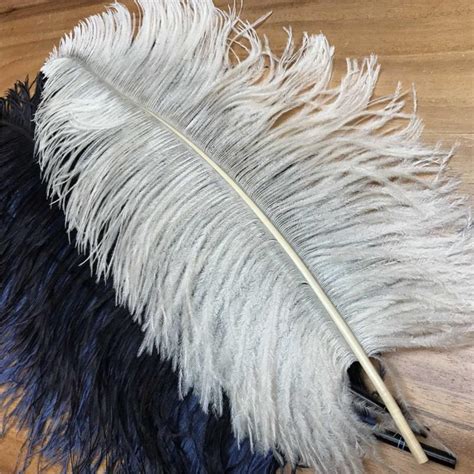 real ostrich feathers for sale